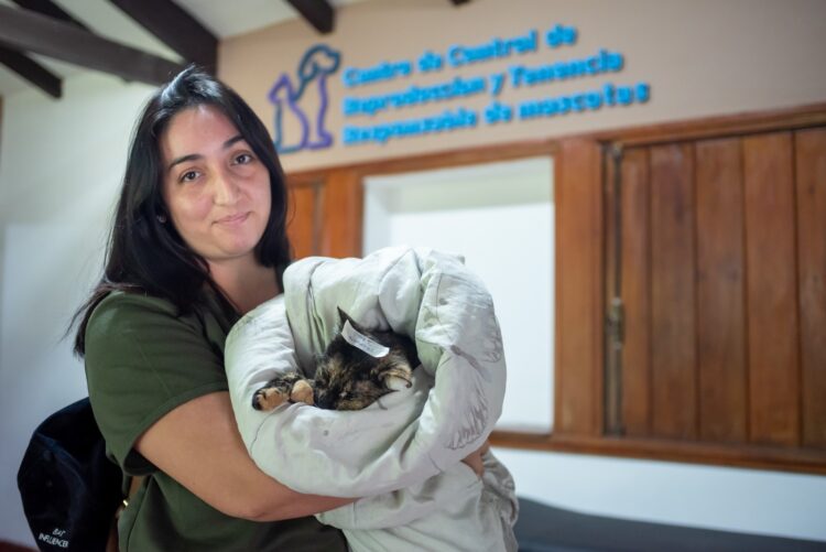 Continúa a buen ritmo la castración de animales en los centros gratuitos de la ciudad