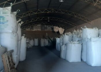 Incautan 165 toneladas de cereales no declarados en Río Cuarto