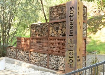 Abrió el «Hotel de Insectos» en la ciudad y sólo falta la llegada de huéspedes curiosos