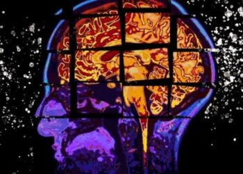 Alzheimer: una terapia logró reducir la pérdida de memoria