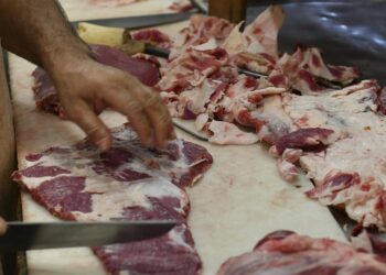 Huevos, lácteos y carnes, los rubros que impulsan los precios