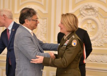 Escala de alto nivel de Richardson en Bogotá