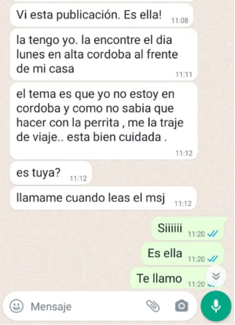 "Lola", la valiente perrita que se extravió en Urca y reapareció misteriosamente en Jujuy