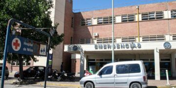 Una niña perdió su brazo tras ser atacada por una jauría