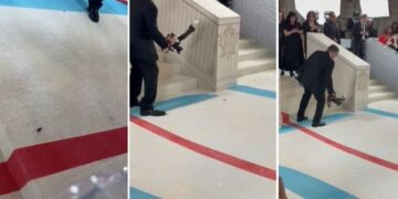 Una cucaracha, la inesperada protagonista de la alfombra roja de la Met Gala 2023