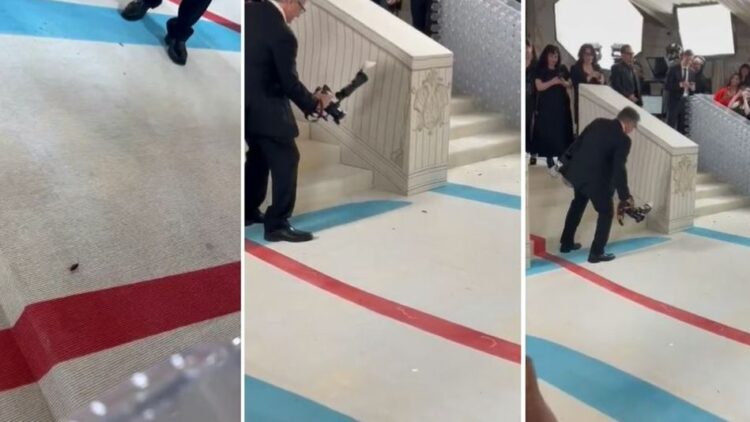 Una cucaracha, la inesperada protagonista de la alfombra roja de la Met Gala 2023