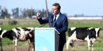 Anunciaron medidas para el sector aviar, lechero y triguero