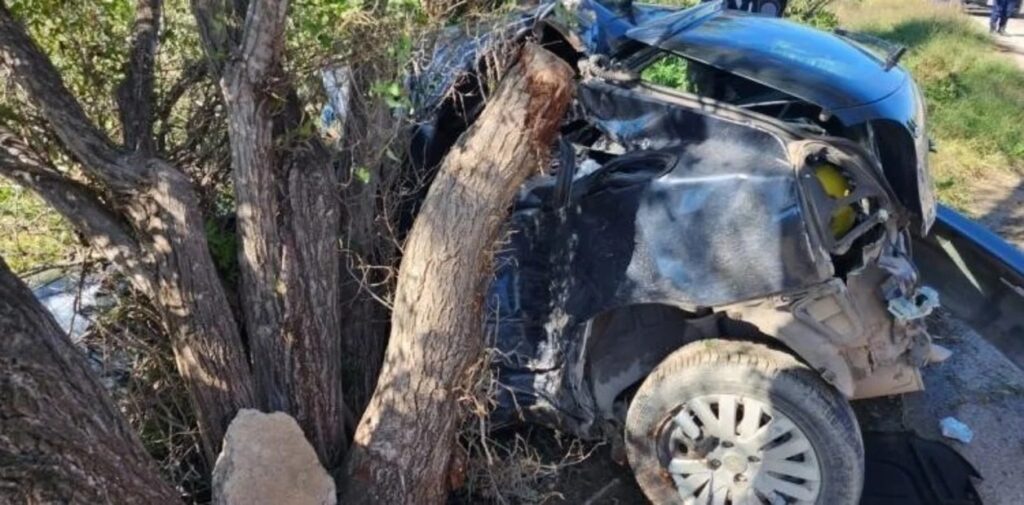 Chocó contra un árbol y murió mientras escapaba de la Policía