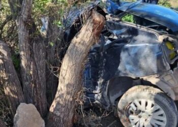 Chocó contra un árbol y murió mientras escapaba de la Policía