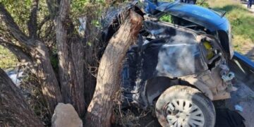 Chocó contra un árbol y murió mientras escapaba de la Policía