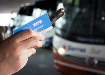 Boletos de transporte gratuitos: conocé cómo gestionarlos