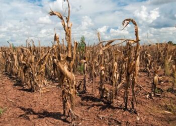 Alertan que la deuda pública aumentó un 20% el último año