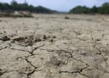 Economía declaró la emergencia agropecuaria en Córdoba