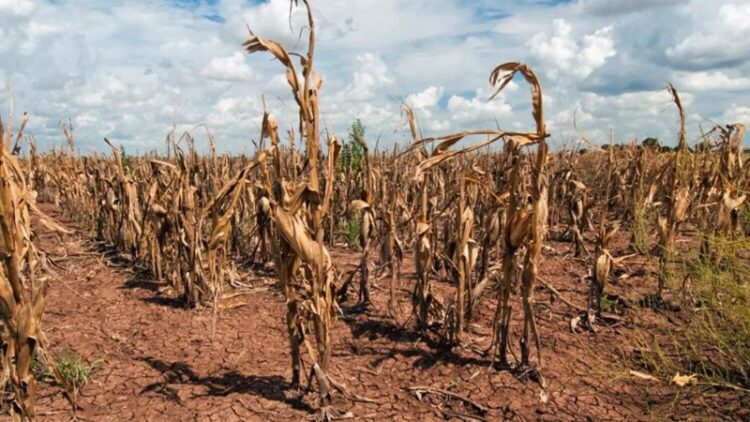 Alertan que la deuda pública aumentó un 20% el último año