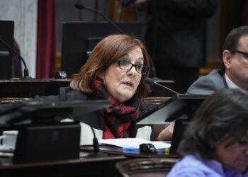 En cuatro meses, Anses ya adeuda $ 13.500 millones a la Caja