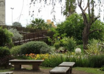 ¿Cuáles son las opciones para disfrutar de este fin de semana en Córdoba?