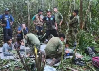 La clave para la supervivencia de los niños rescatados que estuvieron 40 días en la selva colombiana