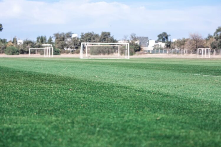 Nuevas canchas en el CARD