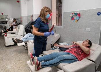 Sangre segura: siguen las colectas para promover la donación habitual