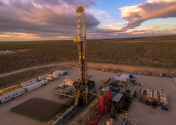 Destacan el potencial de Vaca Muerta en la próxima década