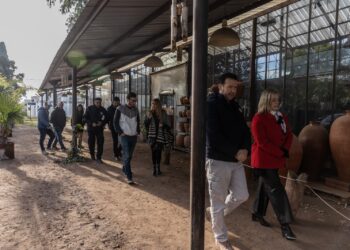 Crean una granja urbana que generará energía renovable con desechos orgánicos