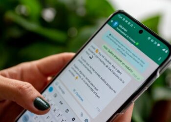 El WhatsApp de la Municipalidad de Córdoba agregó una nueva función para consultar el padrón electoral