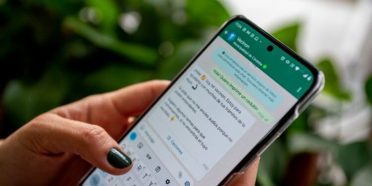 El WhatsApp de la Municipalidad de Córdoba agregó una nueva función para consultar el padrón electoral