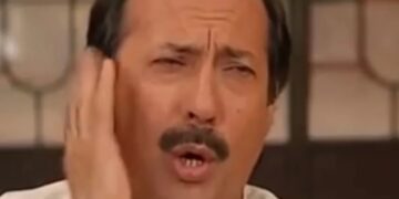 Hoy se celebra el “Día Nacional del Boludo”: sus orígenes y quiénes deberían festejarlo