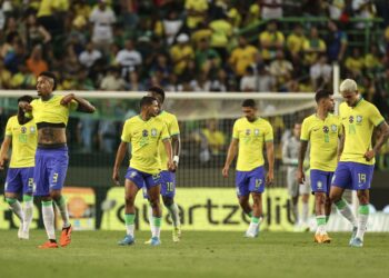 Brasil no levanta cabeza