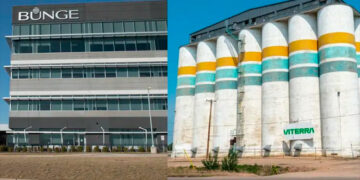 Bunge adquirió a Viterra por US$ 8.200 millones y nace un nuevo gigante agroindustrial