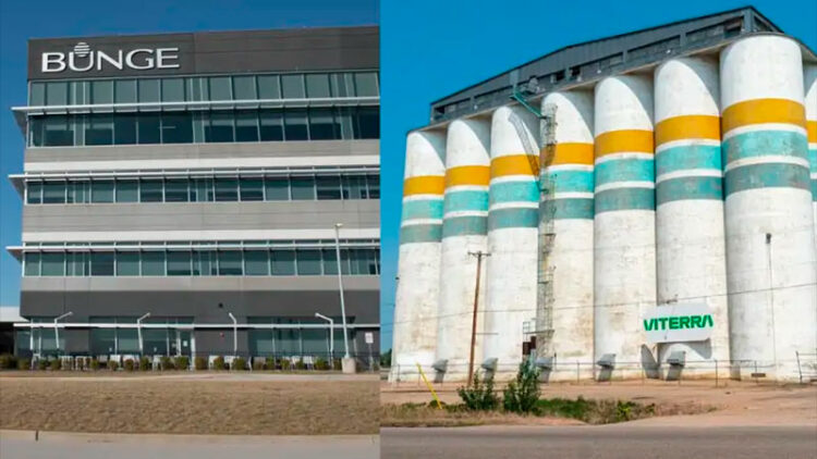 Bunge adquirió a Viterra por US$ 8.200 millones y nace un nuevo gigante agroindustrial