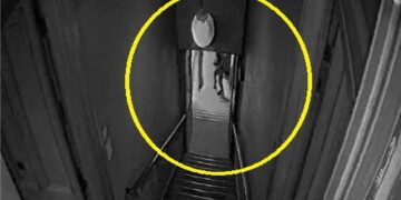 Defecaron en la puerta de la casa de un ex “Gran Hermano”