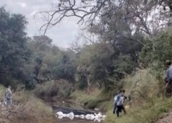 Caso Cecilia: hallaron restos óseos triturados cerca de la chanchería de los Sena