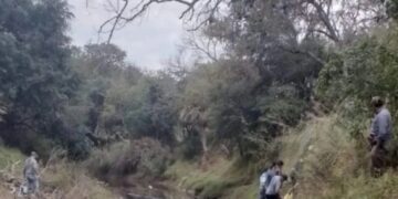 Caso Cecilia: hallaron restos óseos triturados cerca de la chanchería de los Sena