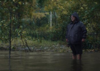 Selección cinematográfica: explorando el séptimo arte