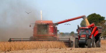 Reducen la estimación de las cosechas de maíz, sorgo y trigo