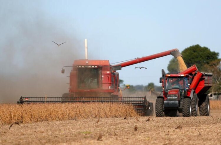 Reducen la estimación de las cosechas de maíz, sorgo y trigo