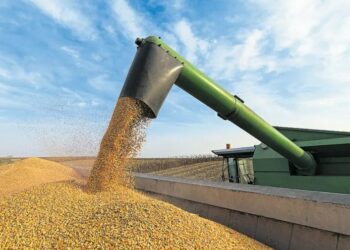 La causa sobre la inconstitucionalidad de las retenciones vuelve a la justicia de la provincia