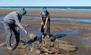 Provincias lanzan una campaña para revalorizar el patrimonio subacuático argentino