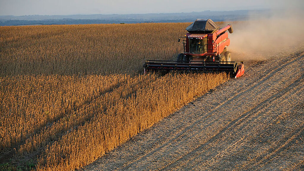 Los motivos por los que la posición de Argentina en el mercado global de la soja se ve comprometida