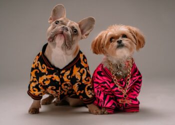 ¿Vestir a las mascotas puede provocarles enfermedades?