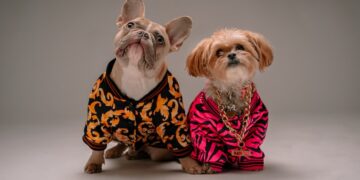 ¿Vestir a las mascotas puede provocarles enfermedades?