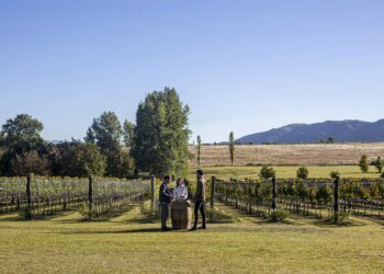 La ocupación turística promedio fue del 70% en nuestra provincia