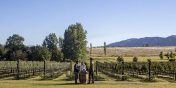 La ocupación turística promedio fue del 70% en nuestra provincia