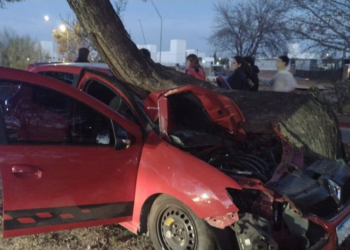 Un auto quedó empotrado en un árbol de Valle Escondido
