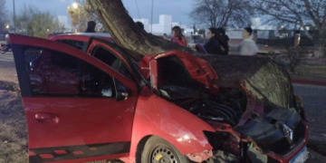 Un auto quedó empotrado en un árbol de Valle Escondido