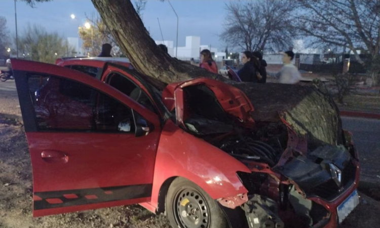 Un auto quedó empotrado en un árbol de Valle Escondido