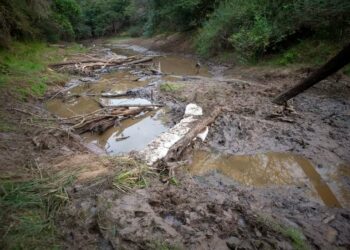 Encuentran restos óseos carbonizados en el Río Tragadero durante un nuevo rastrillaje