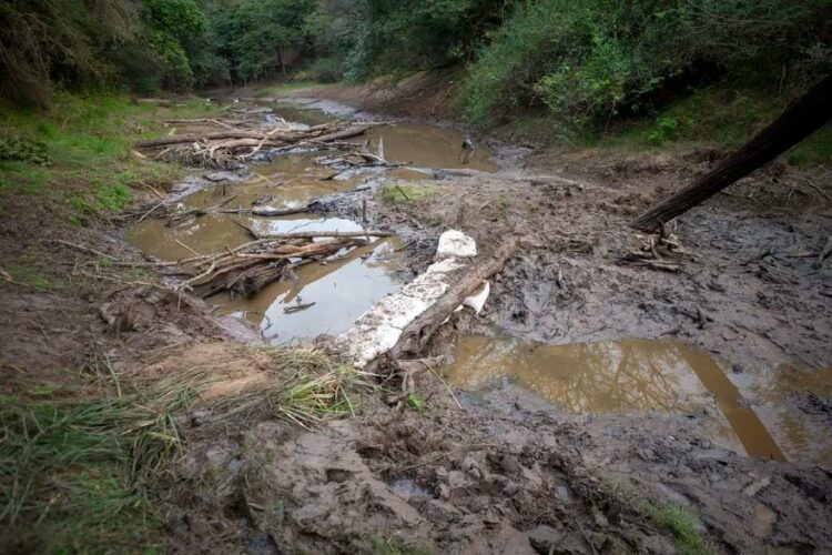 Encuentran restos óseos carbonizados en el Río Tragadero durante un nuevo rastrillaje