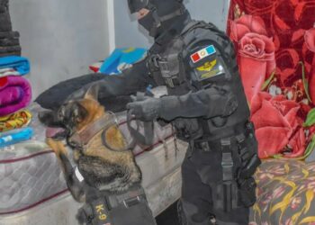 Seis detenidos y gran cantidad de drogas incautadas en barrio General Salvio